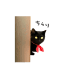 黒猫くぅの日常（個別スタンプ：4）