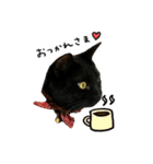 黒猫くぅの日常（個別スタンプ：7）