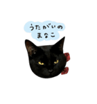 黒猫くぅの日常（個別スタンプ：8）