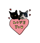 黒猫くぅの日常（個別スタンプ：12）