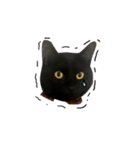 黒猫くぅの日常（個別スタンプ：13）