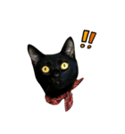 黒猫くぅの日常（個別スタンプ：14）