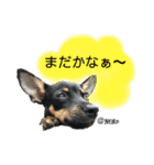 ねいたん003（個別スタンプ：7）