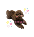 まったんスタンプ（個別スタンプ：1）