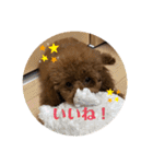 まったんスタンプ（個別スタンプ：19）