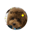 まったんスタンプ（個別スタンプ：20）
