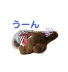まったんスタンプ（個別スタンプ：28）