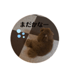 まったんスタンプ（個別スタンプ：31）