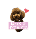 まったんスタンプ（個別スタンプ：34）