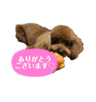 まったんスタンプ（個別スタンプ：36）