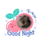 可愛い猫 みみ＆しろ（個別スタンプ：7）
