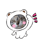 可愛い猫 みみ＆しろ（個別スタンプ：20）