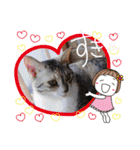 可愛い猫 みみ＆しろ（個別スタンプ：24）