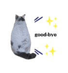 可愛い猫 みみ＆しろ（個別スタンプ：26）