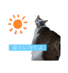 marishimachan（個別スタンプ：4）