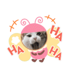 marishimachan（個別スタンプ：8）