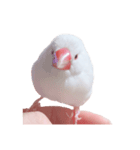 ぶんたがぶっちぎり優勝（個別スタンプ：3）