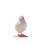 ぶんたがぶっちぎり優勝（個別スタンプ：6）