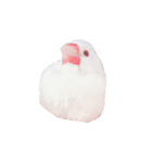 ぶんたがぶっちぎり優勝（個別スタンプ：7）