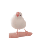 ぶんたがぶっちぎり優勝（個別スタンプ：8）