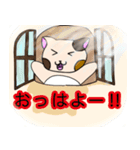 タマはねこ（個別スタンプ：10）