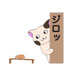 タマはねこ（個別スタンプ：14）