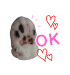 肉球＊猫の手スタンプ（個別スタンプ：1）