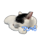 たまおさんライバー用①（個別スタンプ：7）