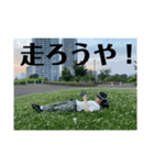 どんげや（個別スタンプ：6）