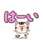 プチかわいい猫のでか文字スタンプ（個別スタンプ：12）