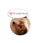 sumomo’s room（個別スタンプ：9）
