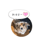 sumomo’s room（個別スタンプ：13）