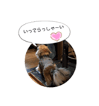 sumomo’s room（個別スタンプ：31）