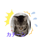 愛月と空パート5（個別スタンプ：1）