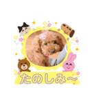 愛月と空パート5（個別スタンプ：3）