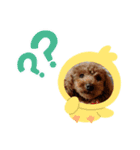 愛月と空パート5（個別スタンプ：5）