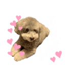 ルビモカ2（個別スタンプ：3）
