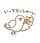 インコいんこ3（個別スタンプ：14）