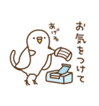 インコいんこ3（個別スタンプ：15）