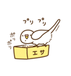 インコいんこ3（個別スタンプ：21）