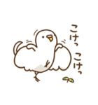 インコいんこ3（個別スタンプ：22）