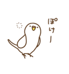 インコいんこ3（個別スタンプ：33）