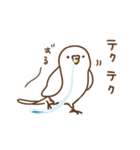 インコいんこ3（個別スタンプ：39）