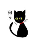 素朴な黒猫スタンプ。（個別スタンプ：7）