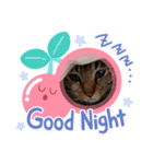 保護猫タラちゃん（個別スタンプ：8）