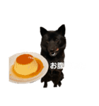 女帝ゆず様のまいにちスタンプ（個別スタンプ：19）