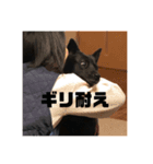 女帝ゆず様のまいにちスタンプ（個別スタンプ：21）