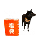 女帝ゆず様のまいにちスタンプ（個別スタンプ：22）