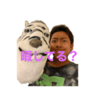 けんしすたんぷ！（個別スタンプ：7）