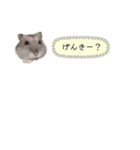 かまぼこだよ（個別スタンプ：5）